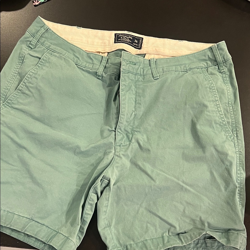 Abercrombie & Fitch Light Green Flat Front Shorts